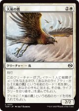 大嵐の鷹/Tempest Hawk (TDM)