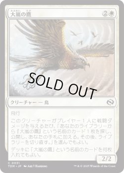 画像1: 大嵐の鷹/Tempest Hawk (TDM)