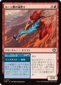 ルーン鱗の嵐孵り/Runescale Stormbrood (TDM)