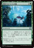 侵食するドラゴンの嵐/Encroaching Dragonstorm (TDM)