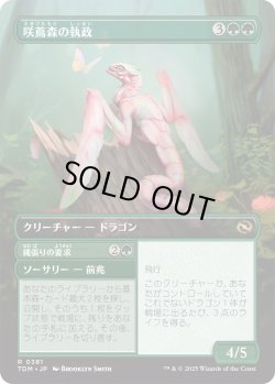 画像2: 咲蔦森の執政/Bloomvine Regent (TDM)【拡張アート版】