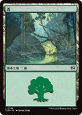 森/Forest 【No.285】 (TDM)