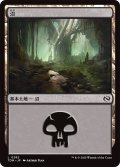 沼/Swamp 【No.282】 (TDM)