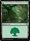 森/Forest 【No.286】 (TDM)