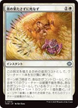 務め果たさずに死なず/Duty Beyond Death (TDM)《Foil》