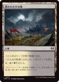 磨かれたやせ地/Scoured Barrens (TDM)《Foil》