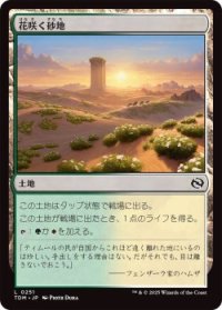 花咲く砂地/Blossoming Sands (TDM)《Foil》