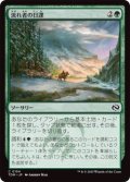 流れ者の日課/Roamer's Routine (TDM)《Foil》