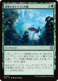 侵食するドラゴンの嵐/Encroaching Dragonstorm (TDM)《Foil》