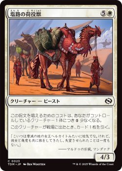 画像1: 塩路の荷役獣/Salt Road Packbeast (TDM)《Foil》
