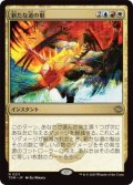 新たな道の魁/New Way Forward (TDM)《Foil》
