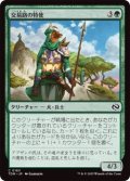 交易路の特使/Trade Route Envoy (TDM)《Foil》