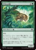 下生えの豹/Undergrowth Leopard (TDM)《Foil》