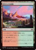 岩だらけの高地/Rugged Highlands (TDM)《Foil》
