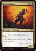 鍛えられた戦術家/Hardened Tactician (TDM)《Foil》