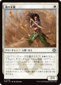 嵐の末裔/Descendant of Storms (TDM)《Foil》