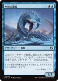 氷峰の海蛇/Iceridge Serpent (TDM)《Foil》