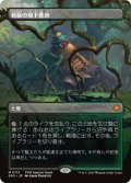 新緑の地下墓地/Verdant Catacombs (TDM)【SPG版】