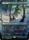 霧深い雨林/Misty Rainforest (TDM)【SPG版】