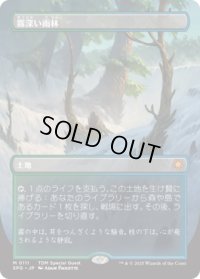 霧深い雨林/Misty Rainforest (TDM)【SPG版】