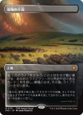 湿地の干潟/Marsh Flats (TDM)【SPG版】