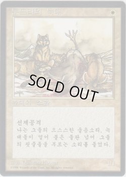 画像1: ツンドラ狼/Tundra Wolves (4ED)【他言語特集】
