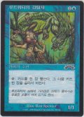 マーフォークの物あさり/Merfolk Looter (EXO)【他言語特集】