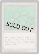 緑の護法印/Green Ward (4ED)【他言語特集】