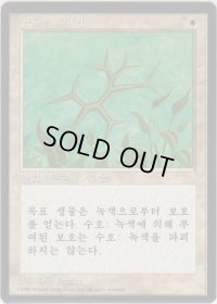 緑の護法印/Green Ward (4ED)【他言語特集】