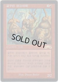 貪欲なるヒヒ/Ravenous Baboons (EXO)【他言語特集】