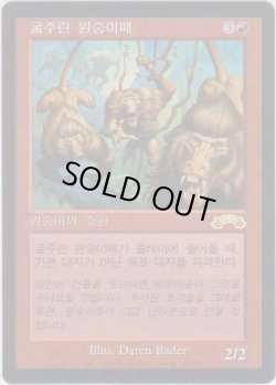 画像1: 貪欲なるヒヒ/Ravenous Baboons (EXO)【他言語特集】