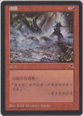 沸騰/Boil (TMP)【他言語特集】