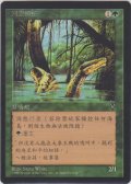 リバー・ボア/River Boa 【Ver.2】 (VIS)【他言語特集】