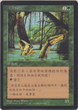 画像1: リバー・ボア/River Boa 【Ver.2】 (VIS)【他言語特集】