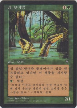 画像1: リバー・ボア/River Boa 【Ver.1】 (VIS)【他言語特集】