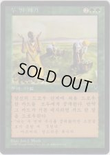 二度目の収穫/Rowen (VIS)【他言語特集】