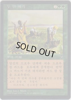 画像1: 二度目の収穫/Rowen (VIS)【他言語特集】