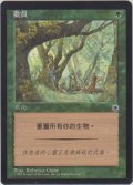 動員/Mobilize (POR)【他言語特集】