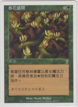 画像1: 花盛りの春/Vernal Bloom (7ED)【他言語特集】