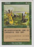 二度目の収穫/Rowen (6ED)【他言語特集】