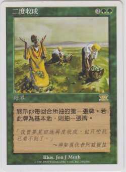 画像1: 二度目の収穫/Rowen (6ED)【他言語特集】