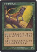 日を浴びるルートワラ/Basking Rootwalla 【Ver.2】 (TOR)【他言語特集】