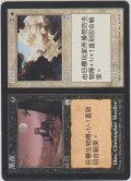 夜+昼/Night+Day (APC)【他言語特集】