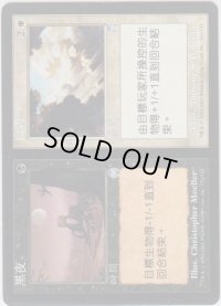夜+昼/Night+Day (APC)【他言語特集】