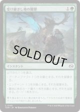 受け継ぎし地の開墾/Heritage Reclamation (TDM)《Foil》