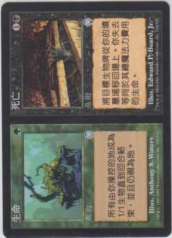 画像1: 生+死/Life+Death (APC)【他言語特集】