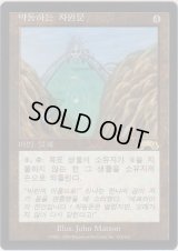 移ろいの門/Erratic Portal (EXO)【他言語特集】