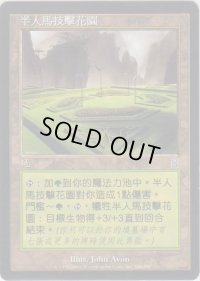 ケンタウルスの庭園/Centaur Garden (ODY)【他言語特集】