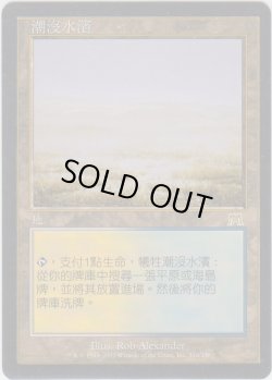 画像1: 溢れかえる岸辺/Flooded Strand 【PLD】 (ONS)【他言語特集】