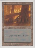 沼/Swamp 【Ver.1】 (5ED)【他言語特集】